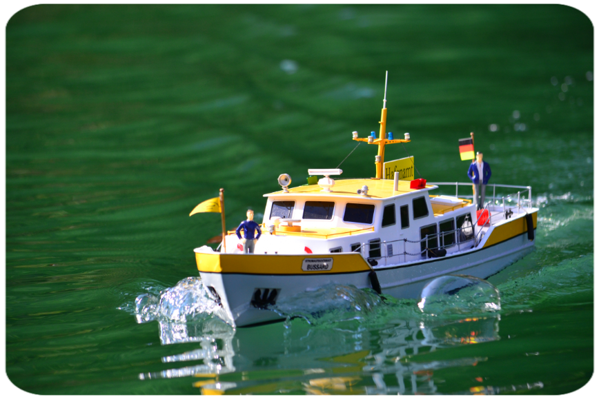 am Thumsee 2016 Bussard